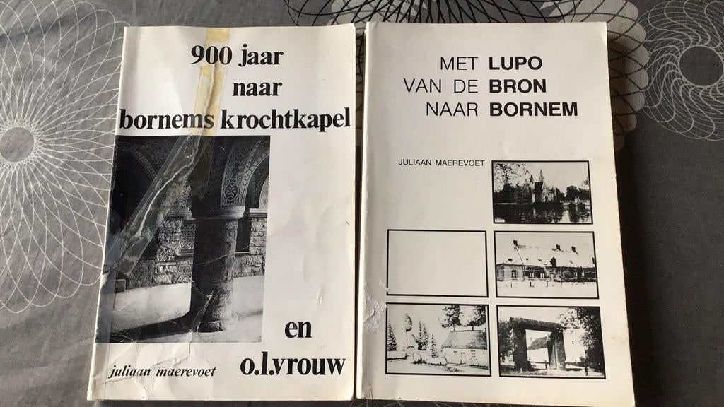 Bornem . heemkunde boeken, Enlèvement ou Envoi, 20e siècle ou après, Utilisé