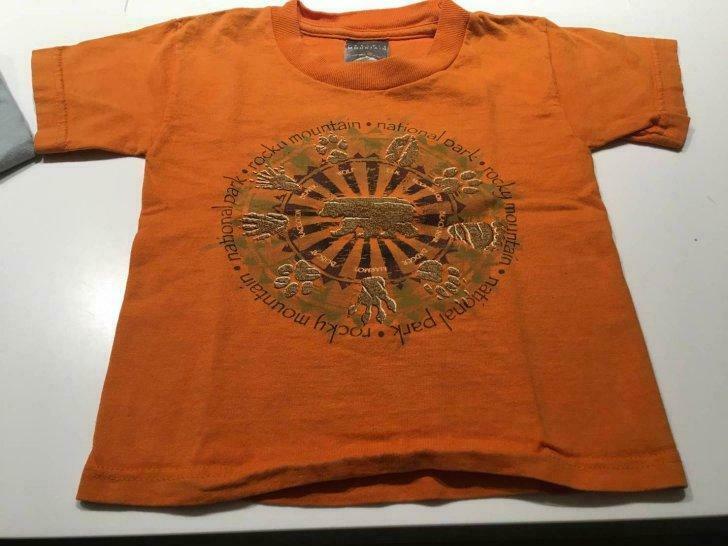 T-shirt 2 ans, Enlèvement ou Envoi, Utilisé, Garçon ou Fille