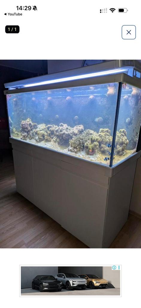 Red sea Aguarıum Perfeck!!!!, Dieren en Toebehoren, Ophalen of Verzenden, Zo goed als nieuw