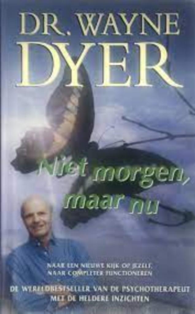 Niet morgen, maar nu|Wayne Dyer 9022984915, Ophalen of Verzenden, Zo goed als nieuw