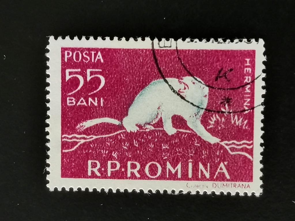 Roumanie 1957 - hermine, Enlèvement ou Envoi, Affranchi, Animal et Nature