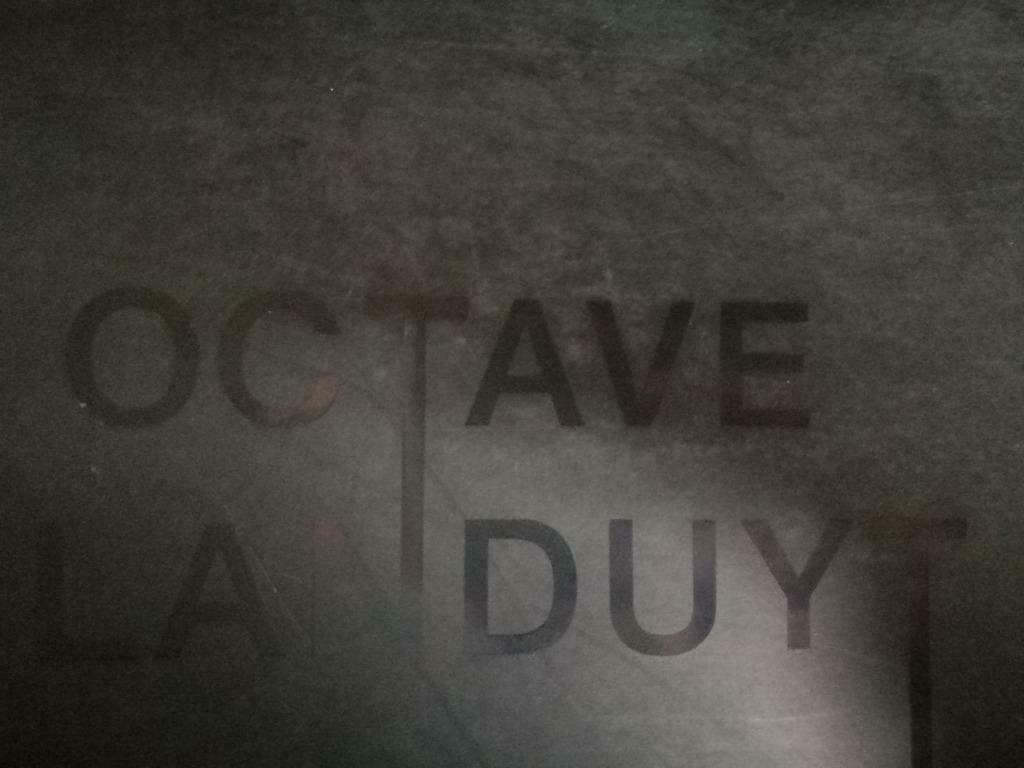 Octave Landuyt schilderijen 80pag, Boeken, Ophalen of Verzenden, Zo goed als nieuw, Schilder- en Tekenkunst