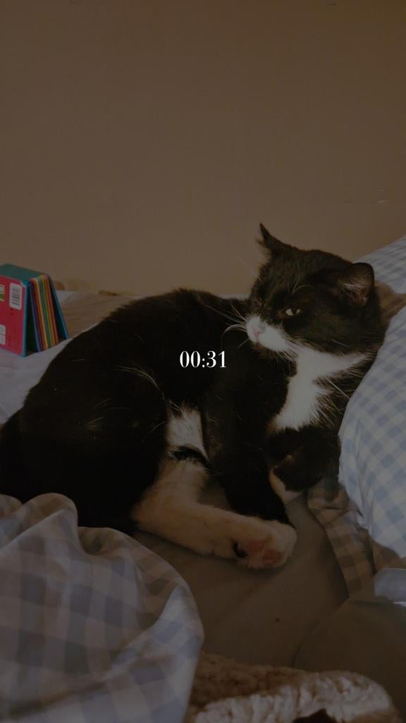 Hulp aangeboden, Offres d'emploi, Profils | Homme/Femme cherche du travail