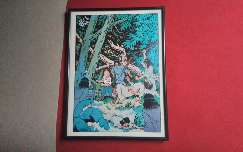 Cadre Tintin, Collections, Enlèvement ou Envoi, Tintin