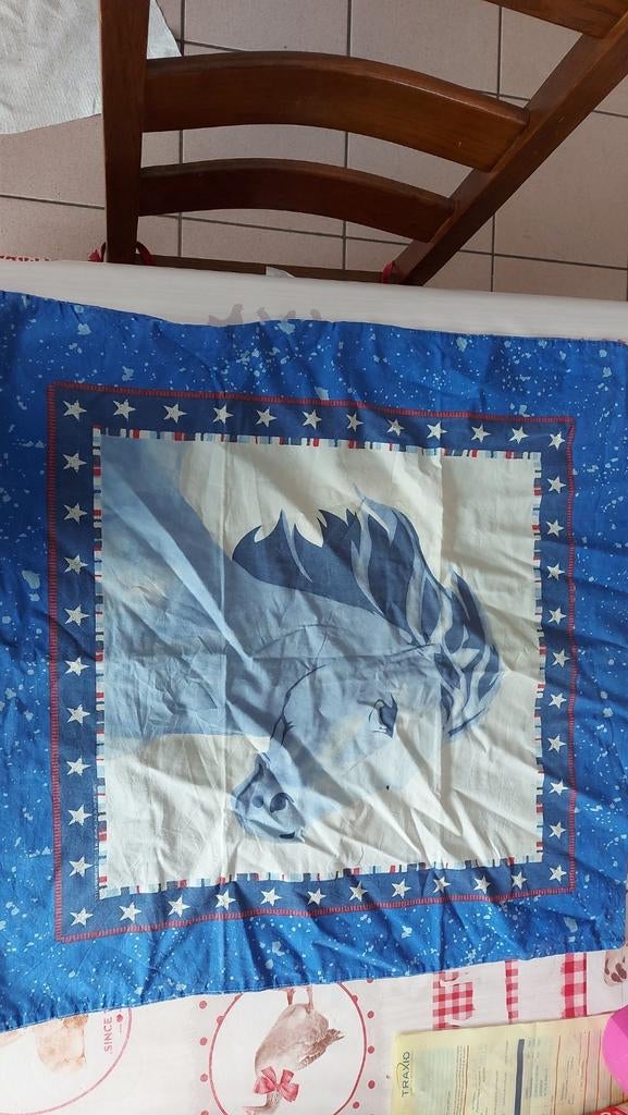 taie d'oreiller, Enlèvement ou Envoi, Utilisé, Oreiller