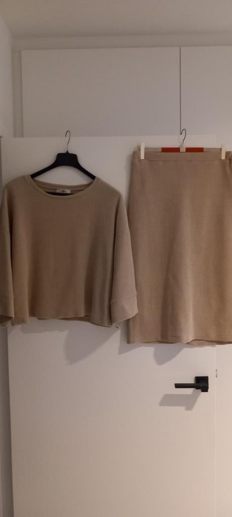 2 pièces, jupe et pull de Michael John., Vêtements | Femmes, Blouses & Tuniques, Comme neuf, Beige, Enlèvement