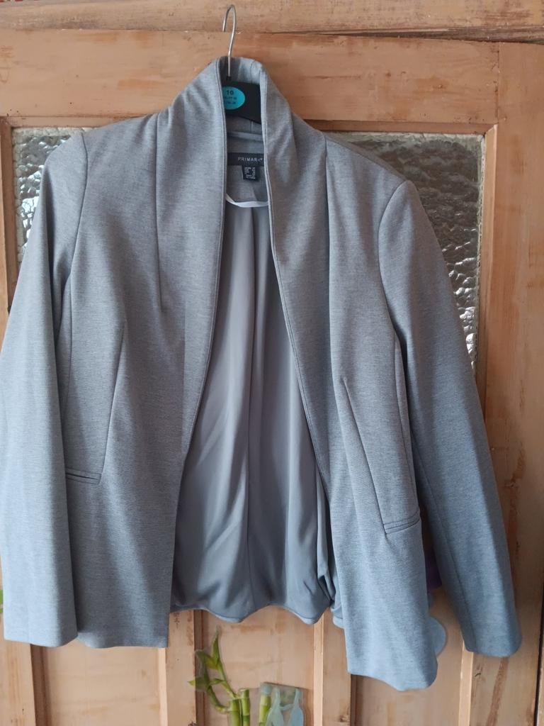 Grijze jas Primark, Kleding | Heren, Ophalen of Verzenden, Zo goed als nieuw, Grijs, - primark