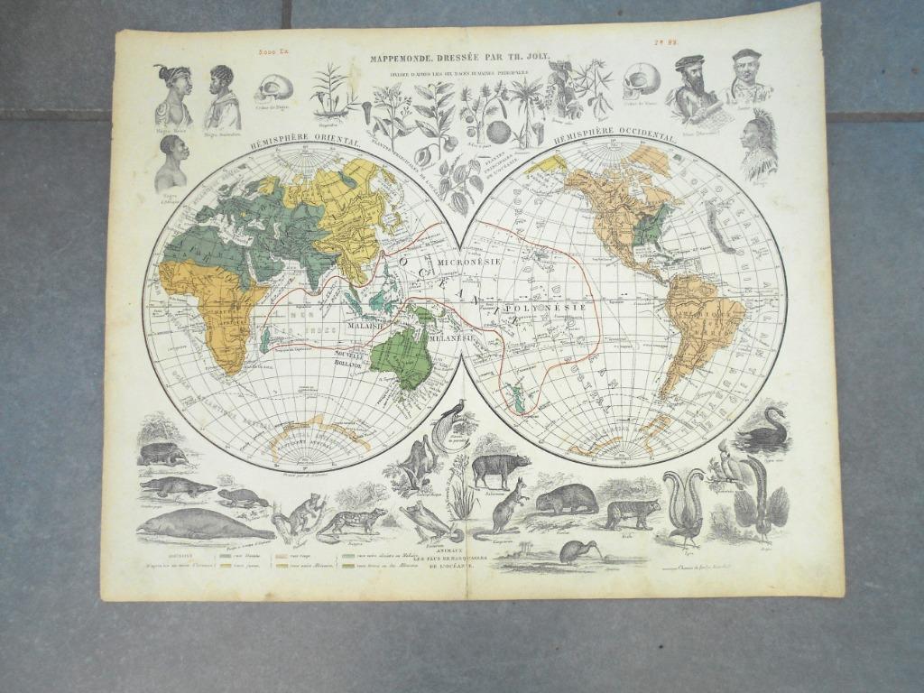rare Mappemonde Th.Joly  1870 divisée d'après les races, Enlèvement ou Envoi, Autres types
