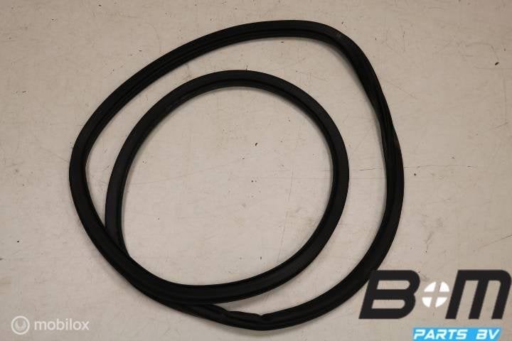 Portierrubber LA (bestuurderskant) VW Polo 6C, Auto-onderdelen, Interieur en Bekleding, Gebruikt