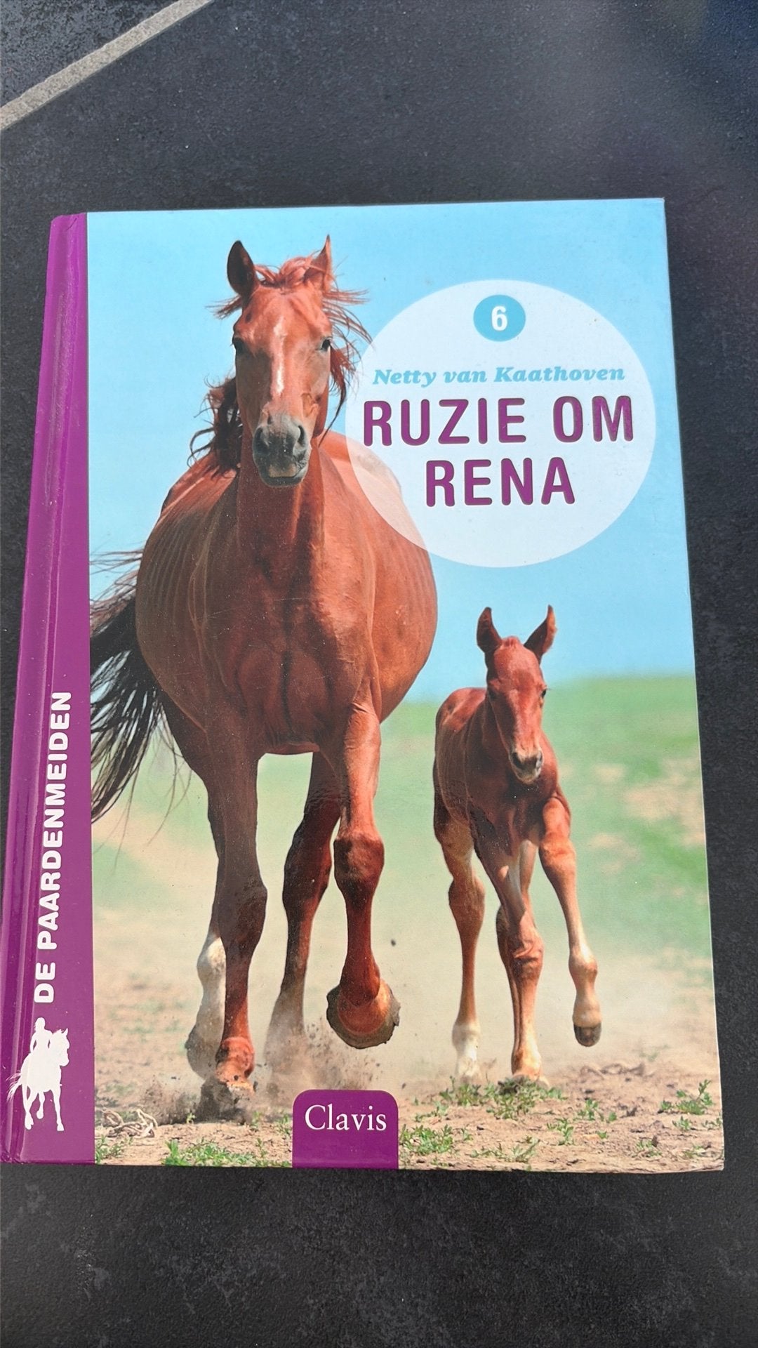 Leesboek ~ Ruzie om Rena, Boeken, Dieren en Huisdieren, Ophalen, Zo goed als nieuw, Paarden of Pony's