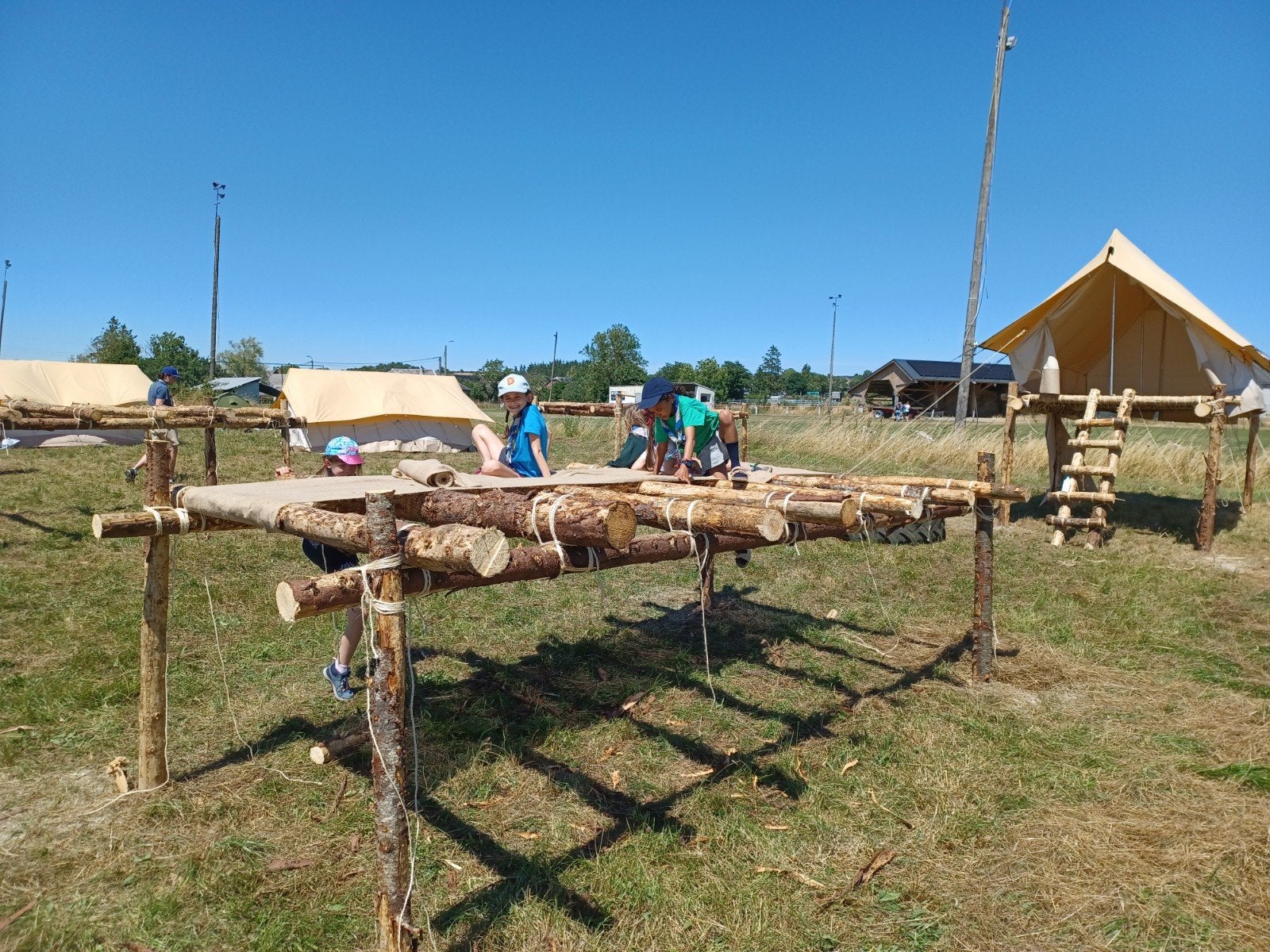 Perches pour Pilotis (Beauraing dispo samedi 18/7)