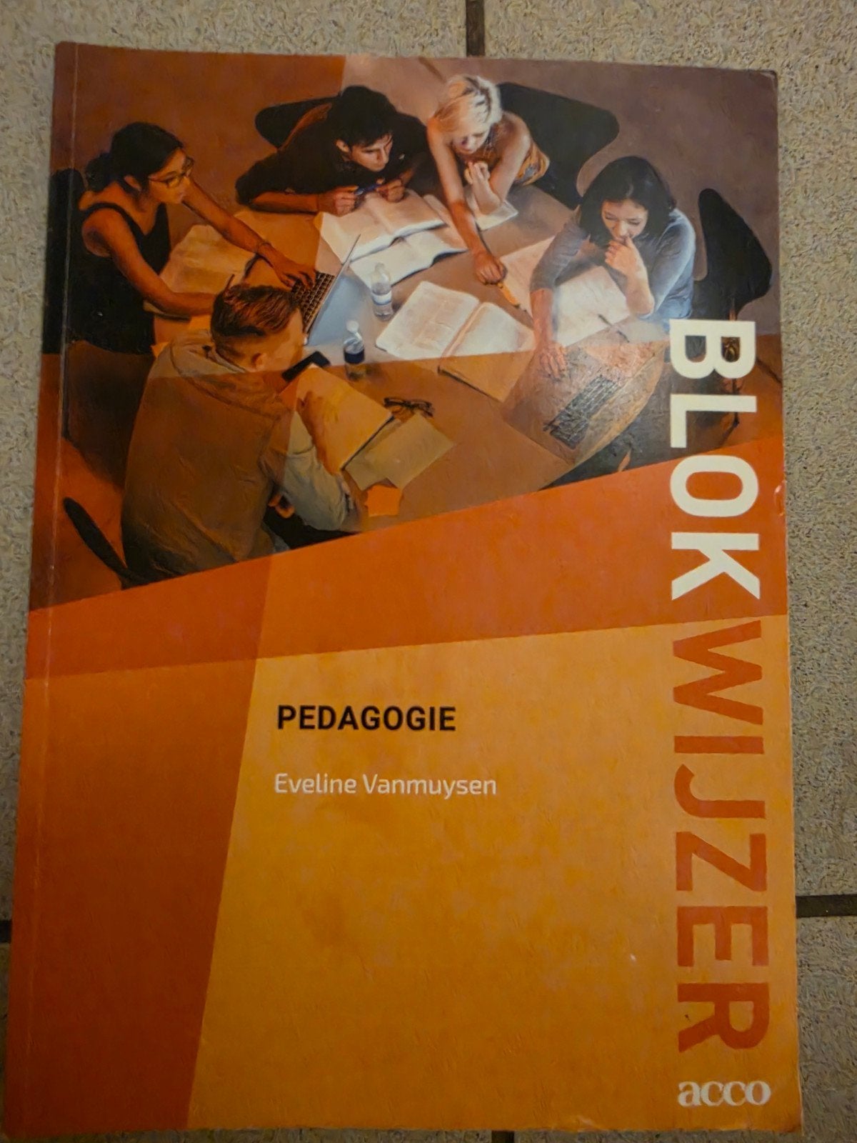 Eveline Vanmuysen - Blokwijzer: Pedagogie, Enlèvement, Comme neuf, Néerlandais, Eveline Vanmuysen