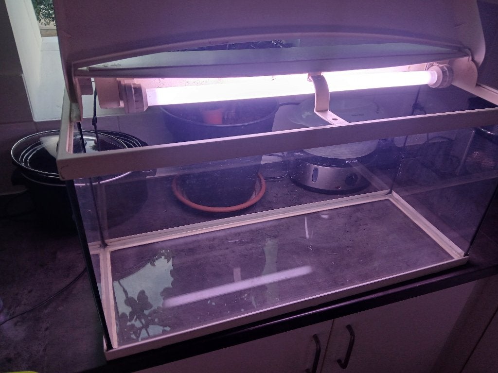 Aquarium 80x30x40hoog ruilen voor terrarium, Enlèvement, Utilisé, Aquarium vide, Aquatlantis