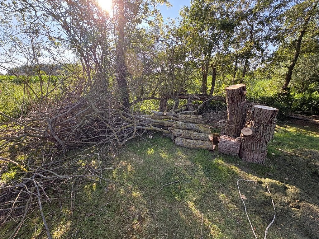 Velwerk in ruil voor hout, Tuin en Terras, Ophalen of Verzenden, Takken