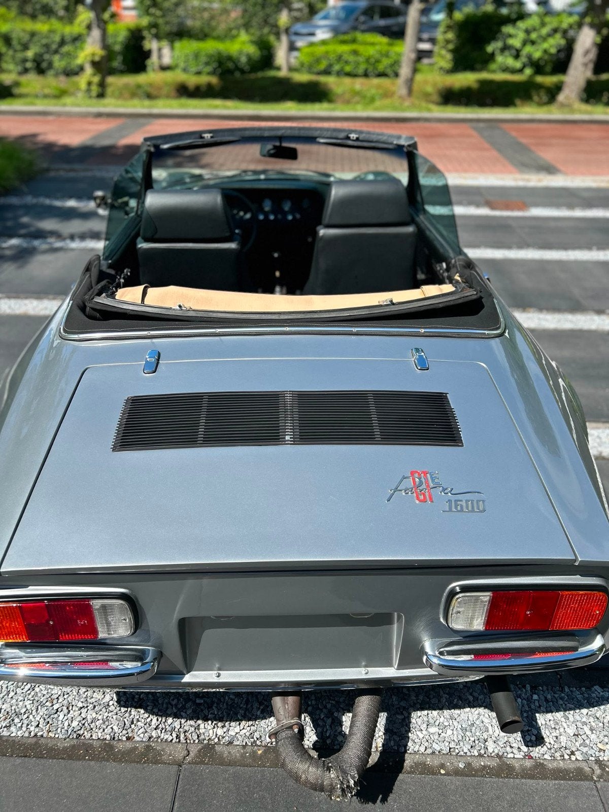 Puma cabrio, foto 7