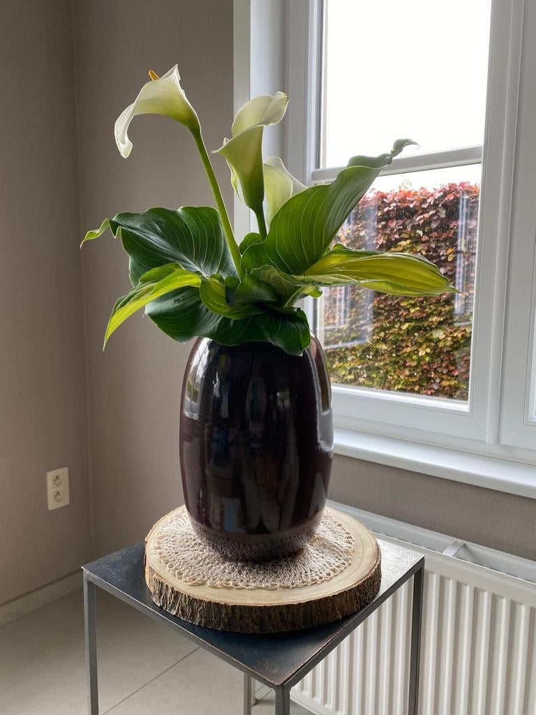 Vaas, Huis en Inrichting, Woonaccessoires | Vazen, Ophalen