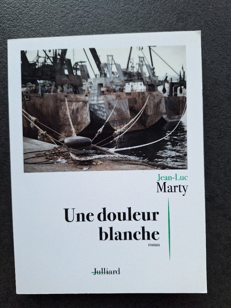 La douleur blanche - Jean-Luc Marty, Enlèvement, Comme neuf, Jean-Luc Marty