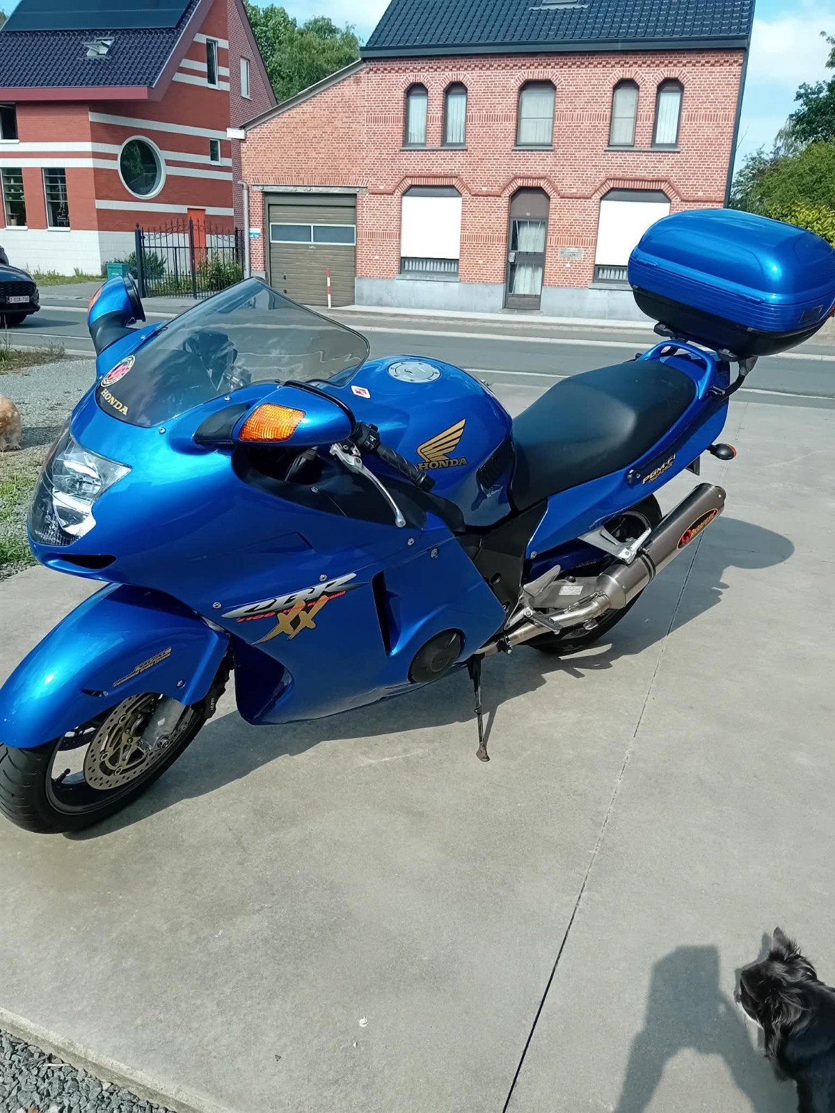 Honda blackbird  bouwjaar 1999 km 17300, Particulier