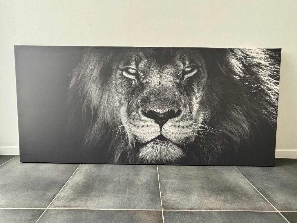 Canvas Leeuw, Huis en Inrichting, Woonaccessoires | Schilderijen, Tekeningen en Foto's, Ophalen, Zo goed als nieuw, 125 cm of meer