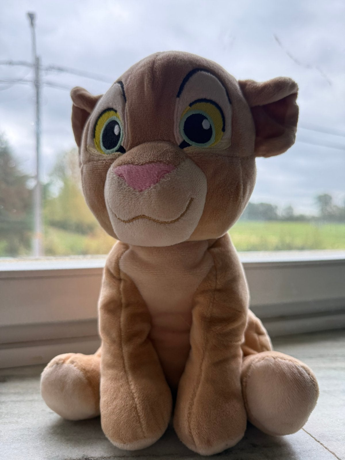 Knuffels, Ophalen, Zo goed als nieuw, Middelgroot (20 tot 80 cm)