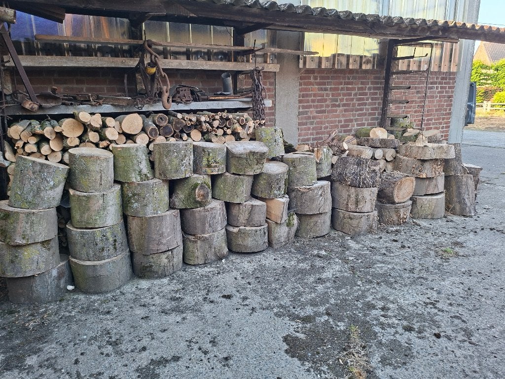 7 stères de bois érable et aulne, Enlèvement, Aulne