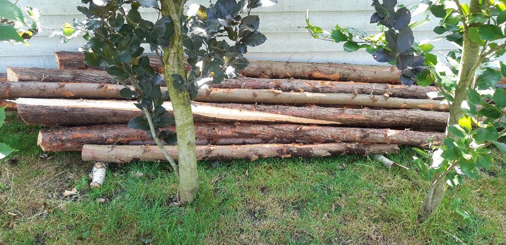 Houten palen Thuja tuinconstructie, Jardin & Terrasse, Poteaux, Poutres & Planches, Neuf, Poteaux, 250 cm ou plus, Enlèvement