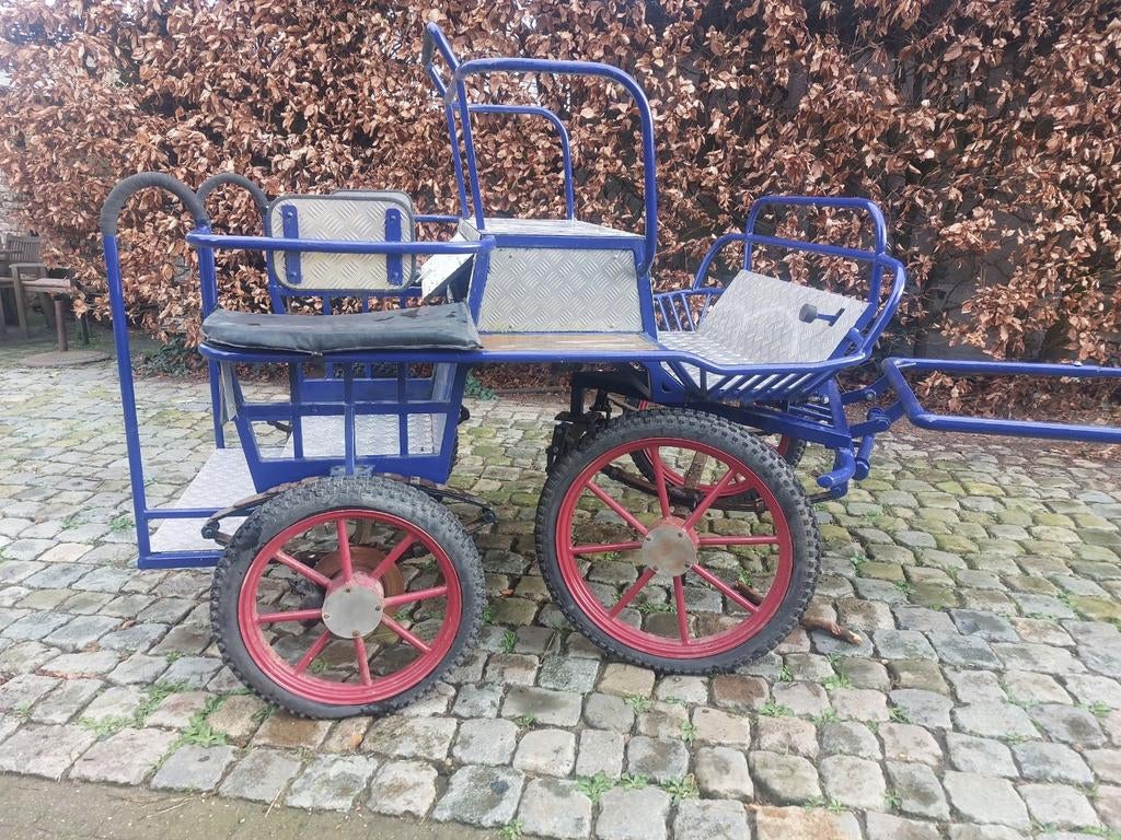 Koets, Paard
