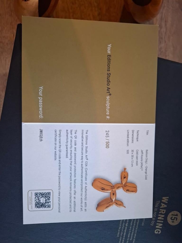 BALLOON DOG, Enlèvement