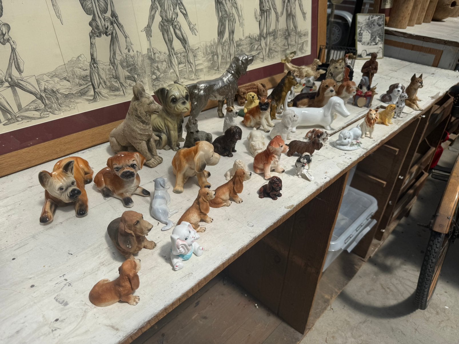 40 hondjes, Antiek en Kunst, Ophalen