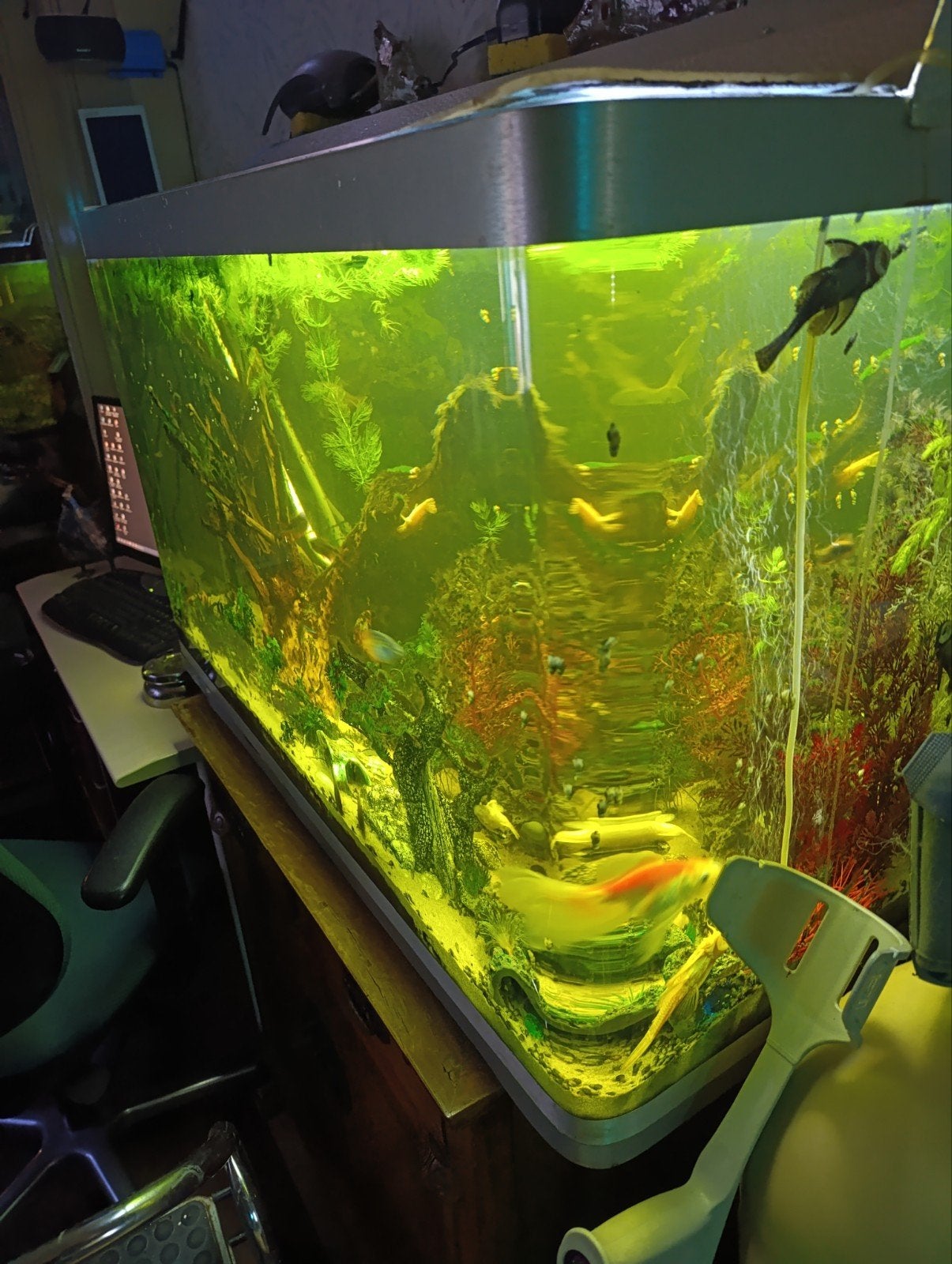prachtig volgas aquarium met vissen en pomp en verlichting, Dieren en Toebehoren, Ophalen, Pomp, Zo goed als nieuw