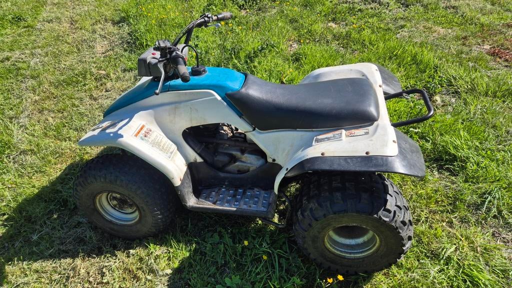 Yamaha Breeze 125, Enlèvement, Frein à disque