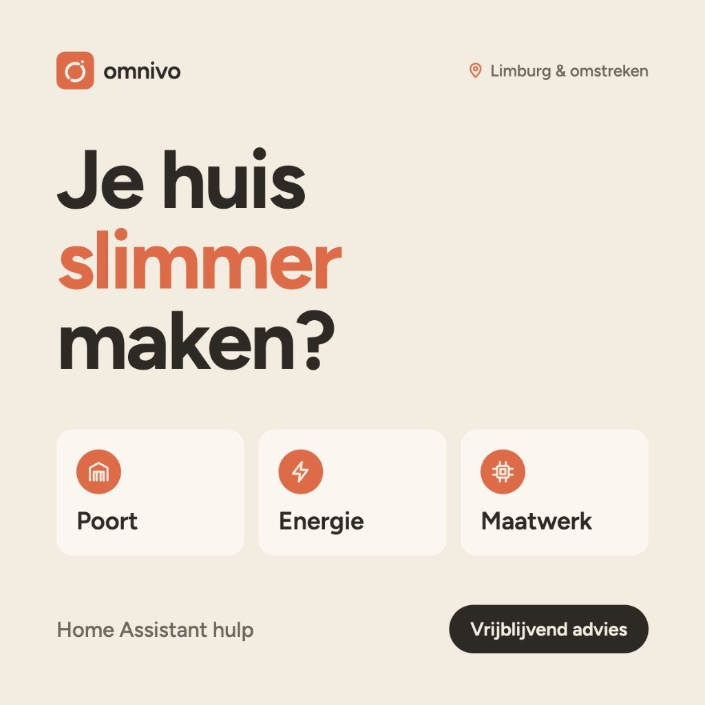 Hulp bij Smarthome & Home Assistant, Informatique & Logiciels, Enlèvement