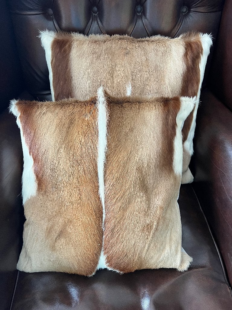 Set van 2 FSP Collection Kussens – Echt Springbok – 40x40, Bruin, Vierkant, Handgemaakt, Ophalen of Verzenden