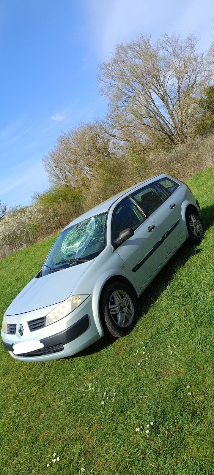 Toutes pièces Renault Mégane 2 break 1.5dci, Enlèvement ou Envoi, Avant, Renault, Porte