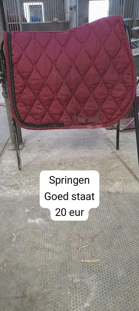 Paardenspullen te koop, Dieren en Toebehoren, Ophalen