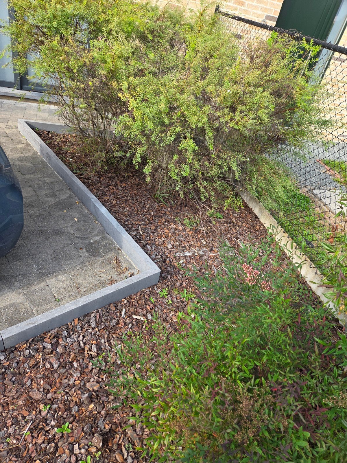 Gratis oude boomschors 10m², Enlèvement