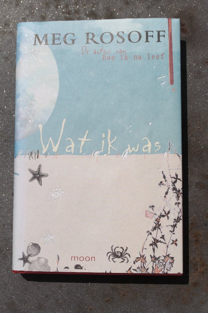 Boek: Wat ik was - Meg Rosoff, Livres, Livres pour enfants | Jeunesse | 13 ans et plus, Enlèvement ou Envoi, Comme neuf, Meg Rosoff
