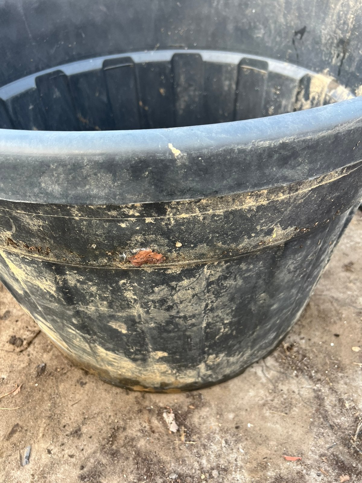 heel grote plantenkuip container 180 liter 76 x 52,5 cm, 40 cm ou plus, 40 à 70 cm, Rond, Comme neuf