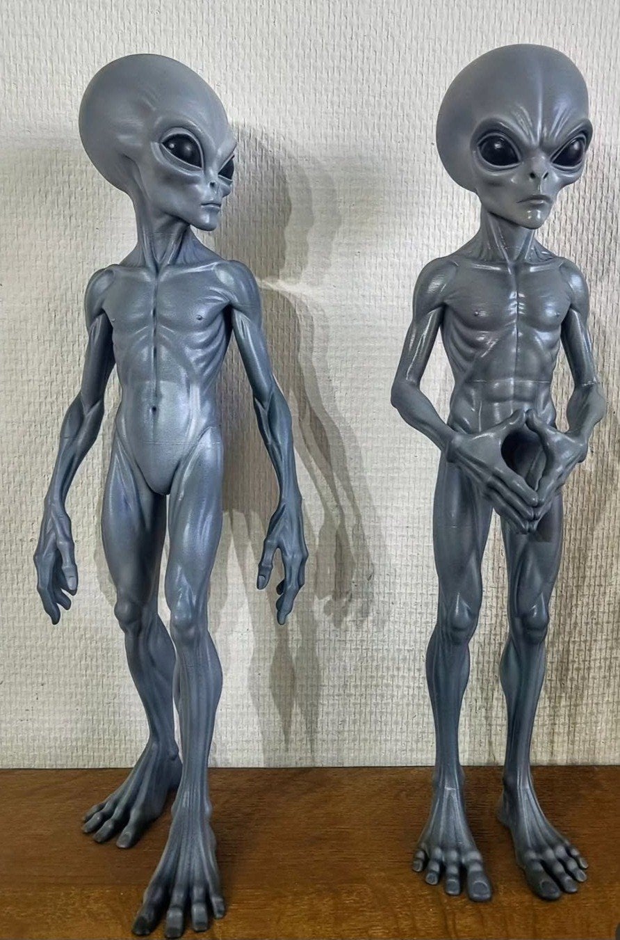 Unieke 3D-geprinte Alien Figuren, Collections, Enlèvement