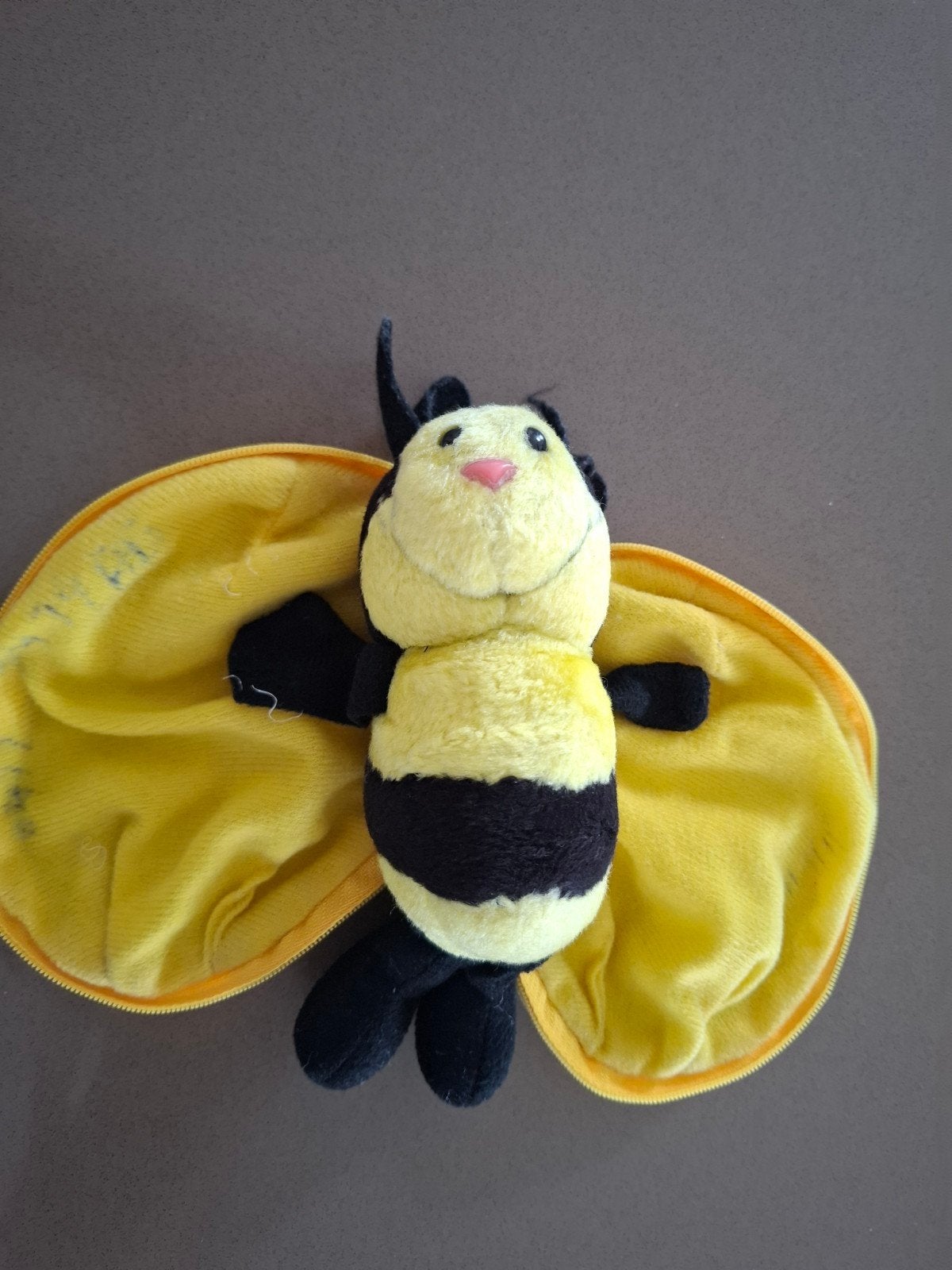Maya l'abeille, Enlèvement
