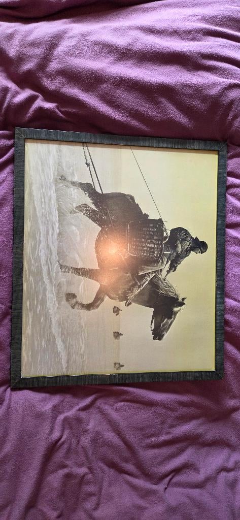 Fotowerk paardenvisser - ingelijst in 1991, Ophalen, Gebruikt, Foto of Poster, Minder dan 50 cm