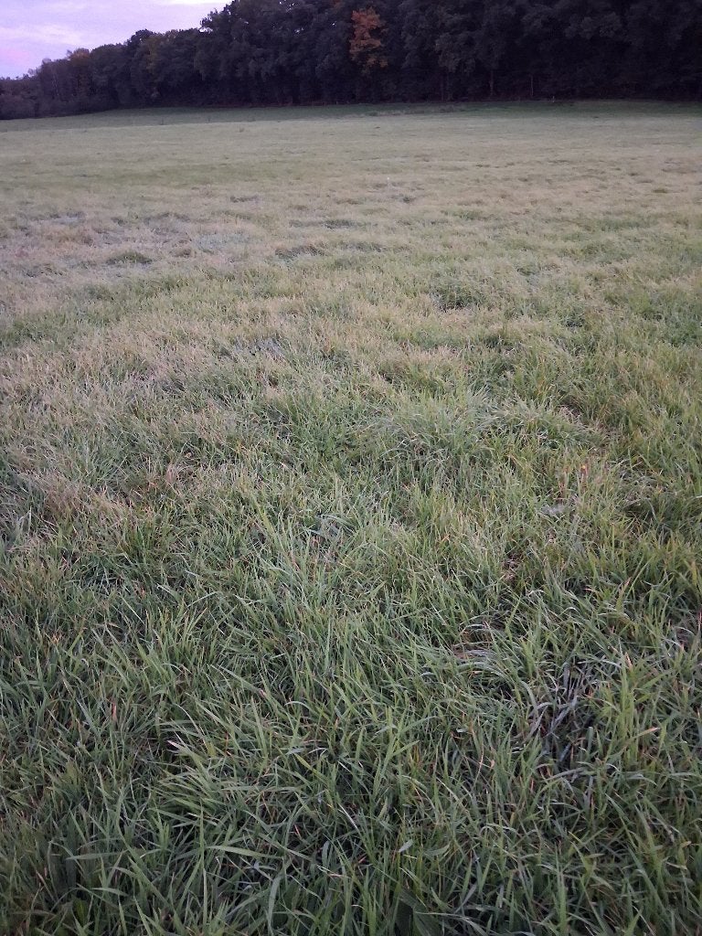 Gras op stam, Zakelijke goederen, Ophalen