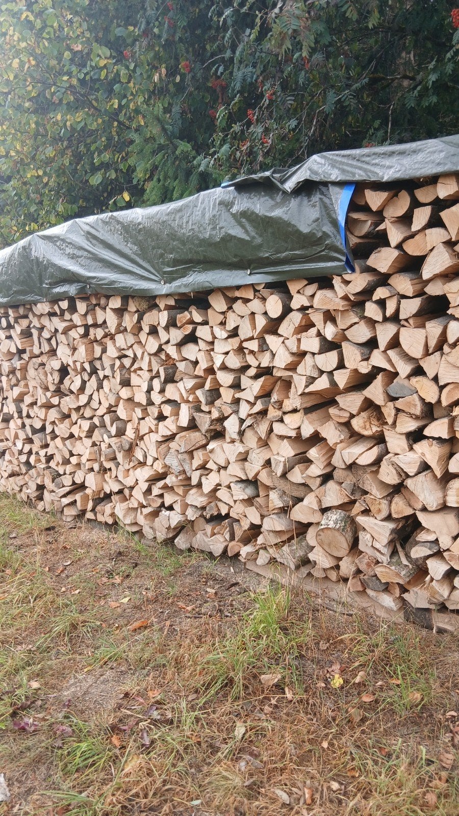Bois de chauffage, Enlèvement ou Envoi, Hêtre