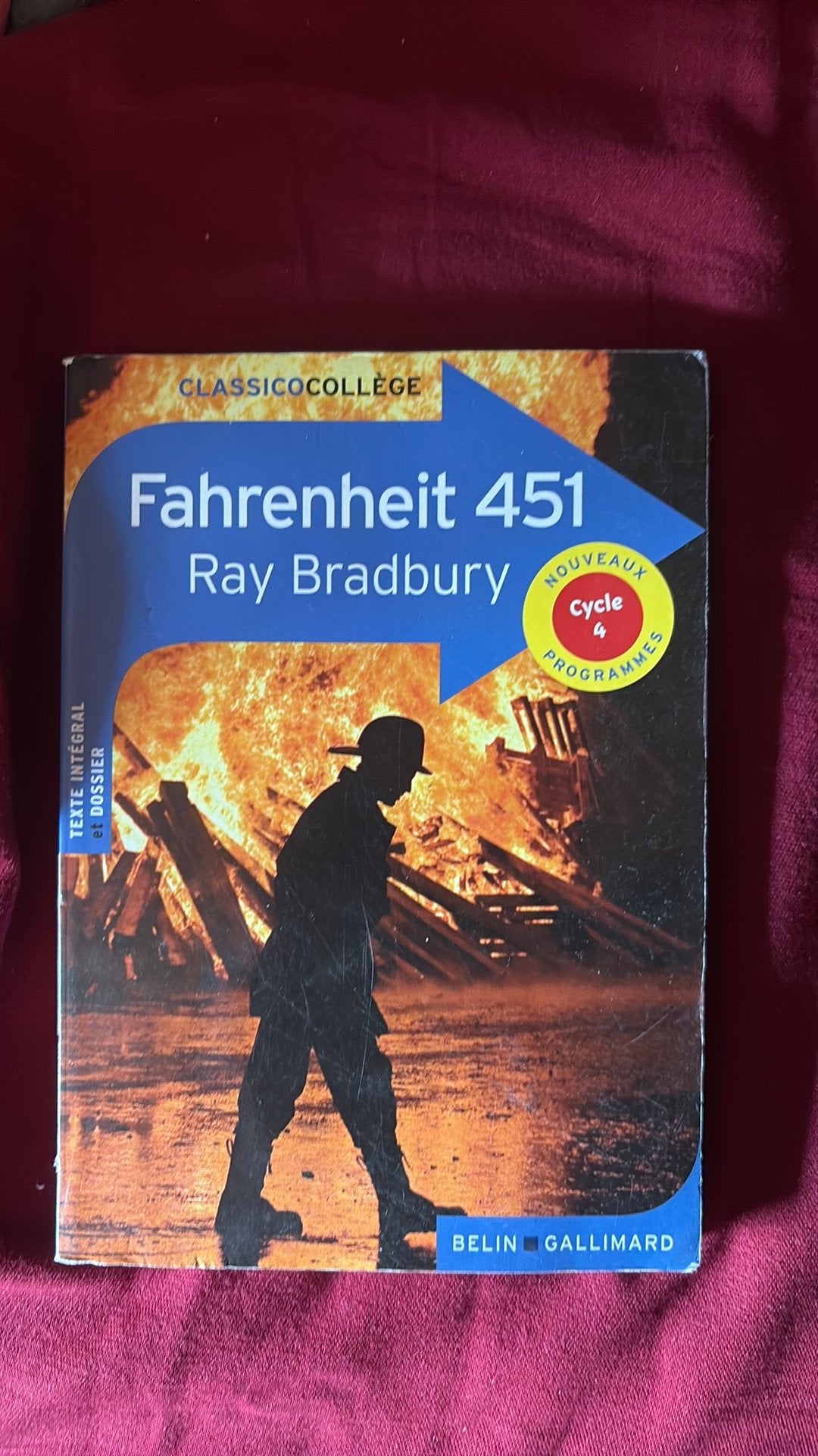Fahrenheit 451 - Ray Bradbury, edition Belin Gallimard, Boeken, Ophalen, Gelezen, Fictie