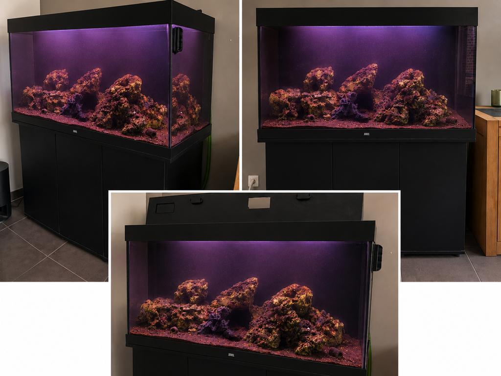Juwel Rio 240 aquarium met toebehoren, Decoratie, Comme neuf, Enlèvement, Accessoires inclus