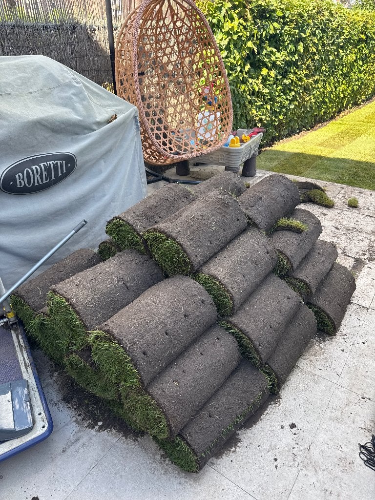 Grasmatten, Jardin & Terrasse, Gazon & Gazon artificiel, Enlèvement, Neuf, 20 m² ou plus, Herbe