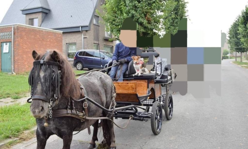 rijtuig, Dieren en Toebehoren, Zo goed als nieuw, Pony