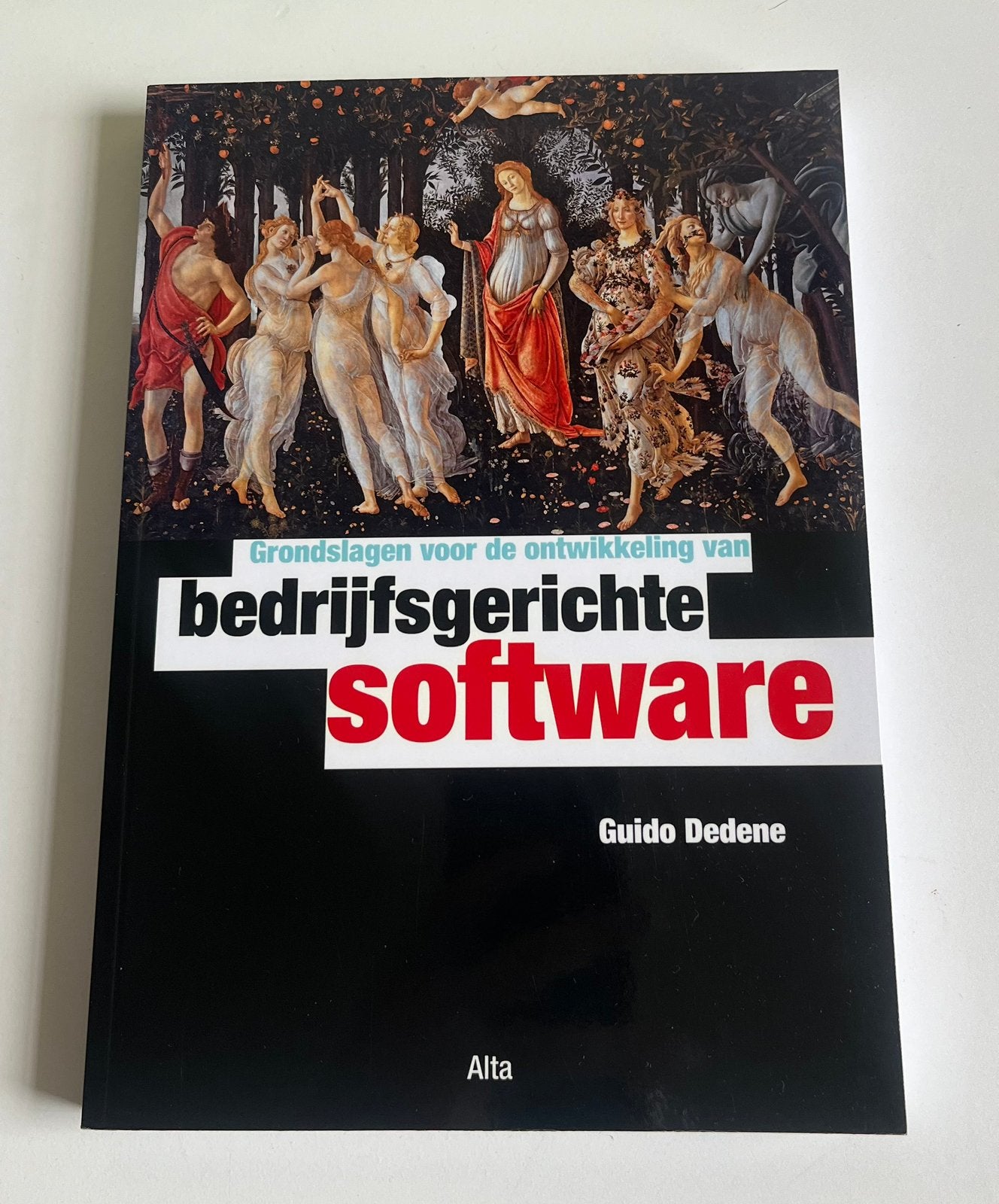 Boek ‘Bedrijfsgerichte software’, Livres, Art & Culture | Photographie & Design, Envoi, Comme neuf