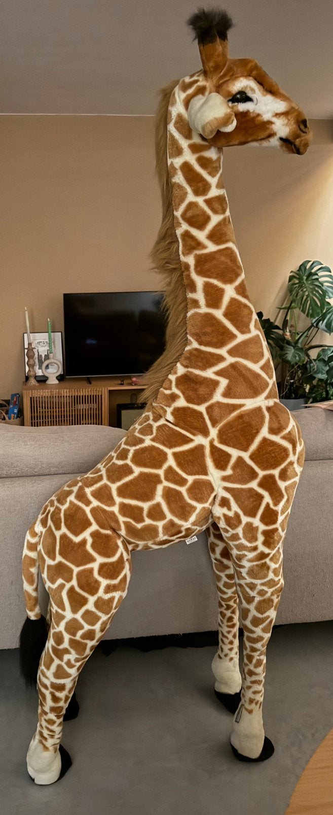 Girafe en peluche 175 cm, Enlèvement, Comme neuf