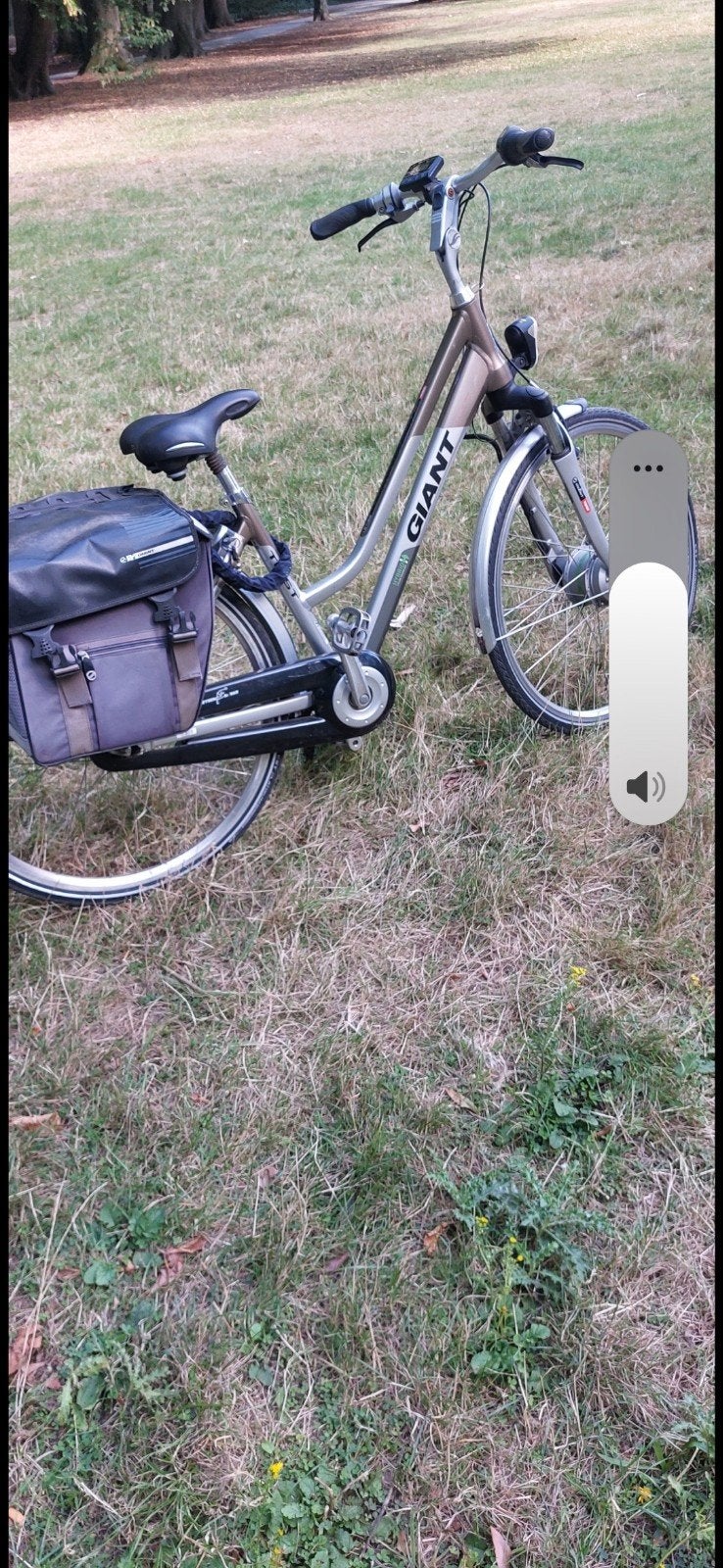 electrische fiets merk giant bereikbaar 30km tot 40, Fietsen en Brommers, Ophalen, Giant
